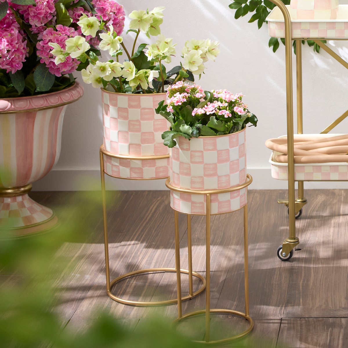 Rosy Check It Out Planters, Set of 2 - Image 2