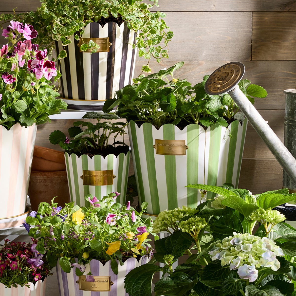 Grass Green Stripe Pots & Saucers, Set of 3 - Image 5