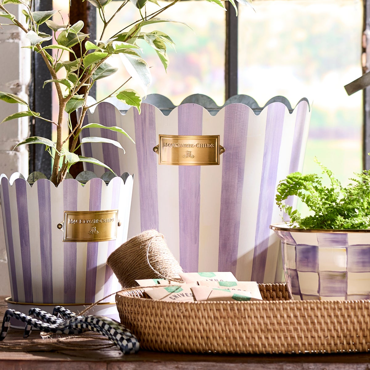 Violet Stripe Pots & Saucers, Set of 3 - Image 4