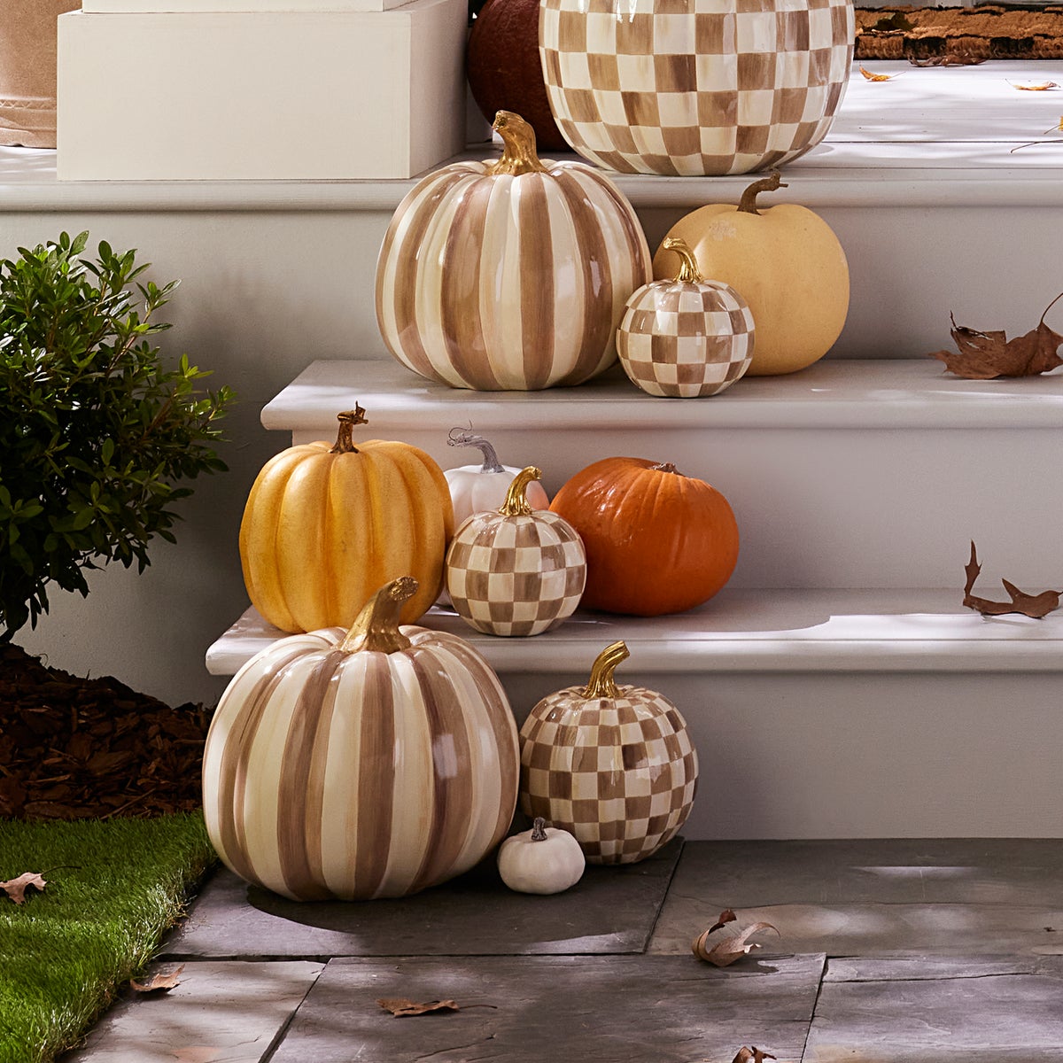 Mocha Stripe Medium Pumpkin - Image 2