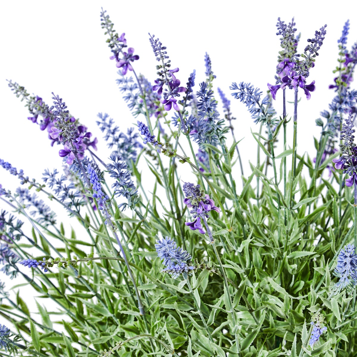 Lavender Urn Filler - Image 4