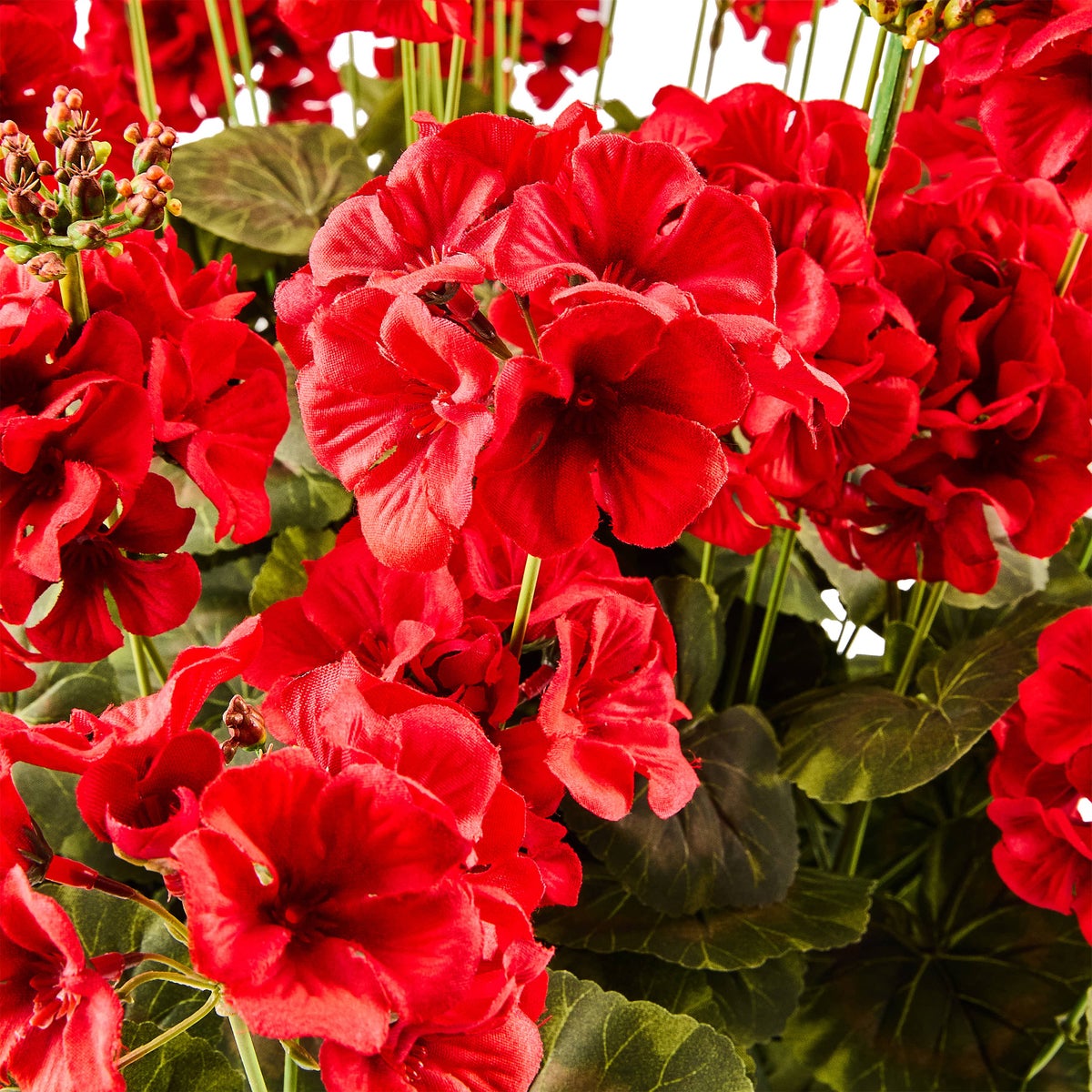 Red Geranium Urn Filler - Image 3